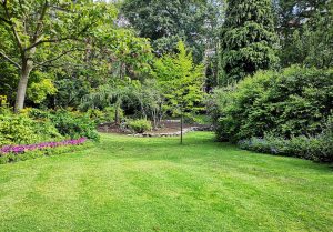 Optimiser l'expérience du jardin à Fleurieu-sur-Saone